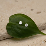 Ohrstecker Aura - Ohrstecker - eva før